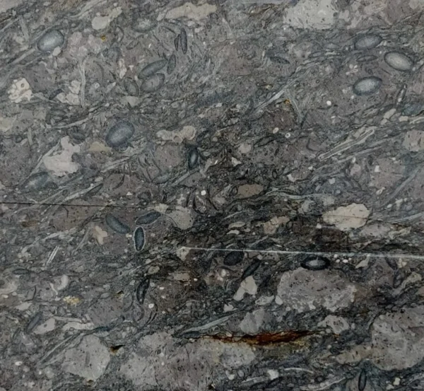Oceanic Marble​